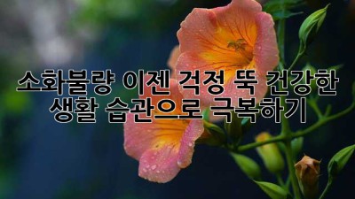 소화불량, 이젠 걱정 뚝! 건강한 생활 습관으로 극복하기