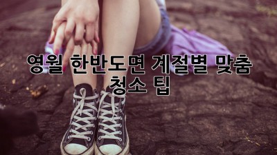 영월 한반도면 계절별 맞춤 청소 팁!