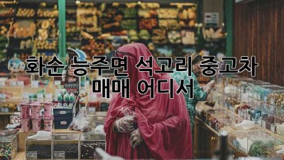 화순 능주면 석고리 중고차 매매, 어디서?